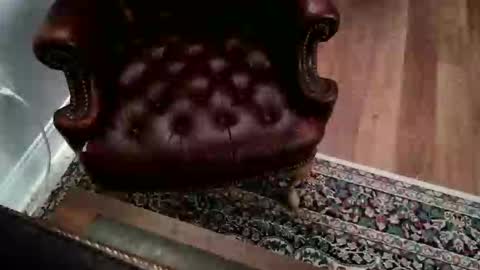 Snapshot of jamespembroke chatting on 09-17-25, 07:15 James Pembroke at your service online show from 09-17-25, 07:15