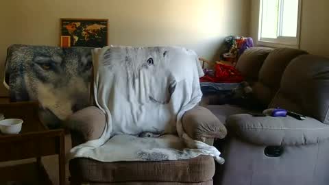 jameswolf777 online show from 09-09-25, 05:34