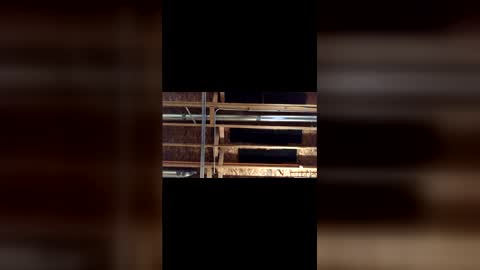 jamie19905 online show from 03-04-26, 03:45