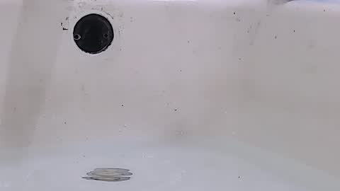 Bootyshows online show from 03-16-26, 11:58