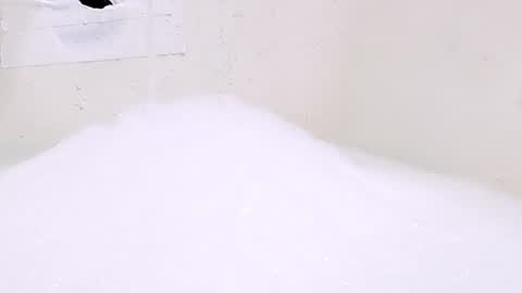 Bootyshows online show from 06-29-26, 05:46