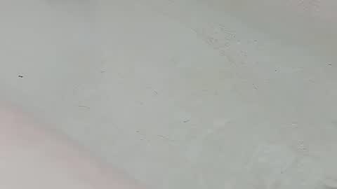 Bootyshows online show from 07-25-26, 01:58