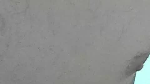 Bootyshows online show from 07-28-26, 06:20