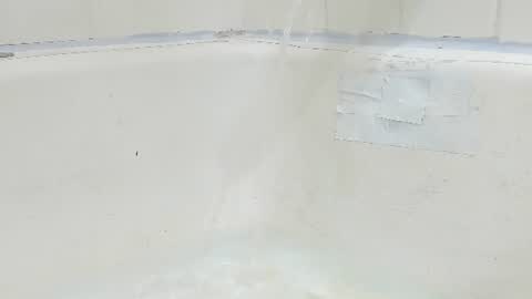Bootyshows online show from 08-04-26, 03:58
