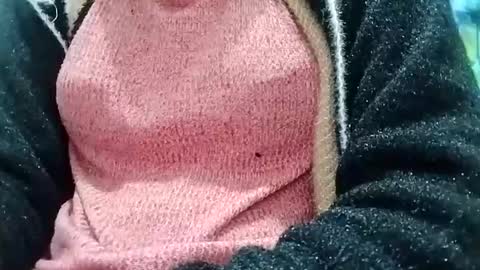 Snapshot of jasspreettt chatting on 12-26-24, 03:16 jasspreettt online show from 12-26-24, 03:16