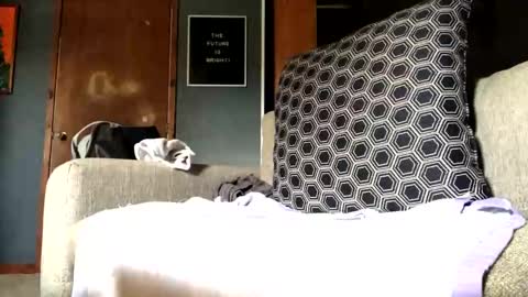 Snapshot of jawssharkparty chatting on 09-10-25, 07:25 Jaws online show from 09-10-25, 07:25