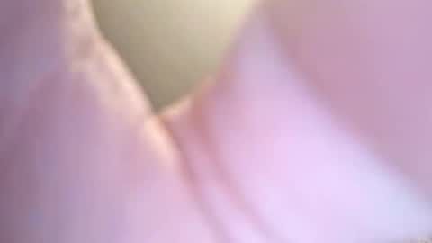 jay56777543234 online show from 02-08-26, 11:24