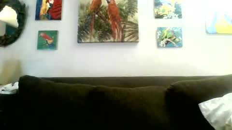 jay-jay1475 online show from 01-30-25, 08:31