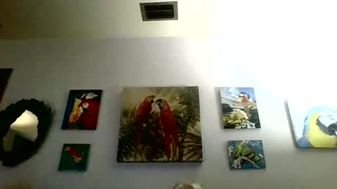 jay-jay1475 online show from 01-31-25, 06:03