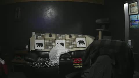 Snapshot of jaycanbefun chatting on 09-21-25, 02:57 Grand Zaddy or Jay its casual online show from 09-21-25, 02:57