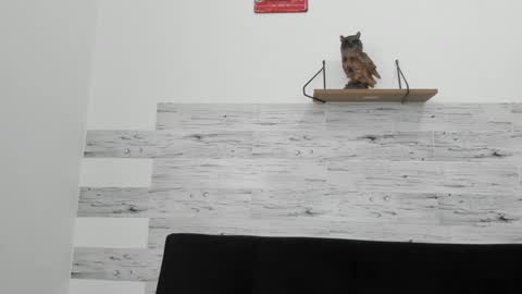 Jaycreedd online show from 09-30-25, 04:56