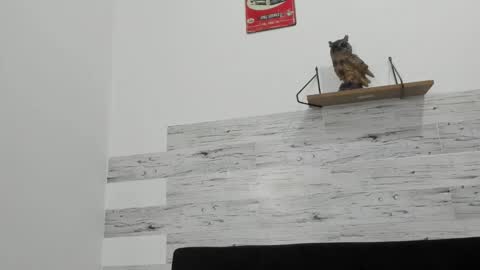 Jaycreedd online show from 10-05-25, 01:26