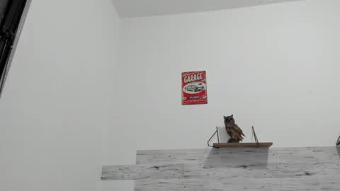 Jaycreedd online show from 10-25-25, 12:07