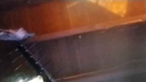 Meetmyfreak online show from 02-14-25, 10:17