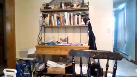 jaythenorth online show from 02-11-26, 04:56