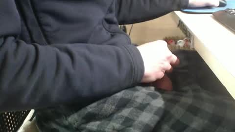 jc200000 online show from 01-29-25, 06:07