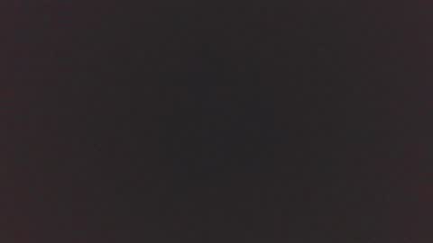 jdog00133 online show from 11-16-25, 08:58