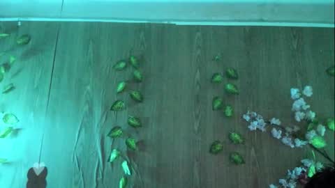 Snapshot of jenelotizz06 chatting on 09-27-25, 06:24 Jenelotizz online show from 09-27-25, 06:24