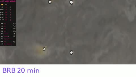 Snapshot of jeniferji chatting on 09-09-25, 06:46 EvaSileZ online show from 09-09-25, 06:46