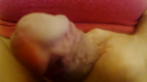 Snapshot of jepn1112 chatting on 12-13-24, 06:59 JoeEBear online show from 12-13-24, 06:59