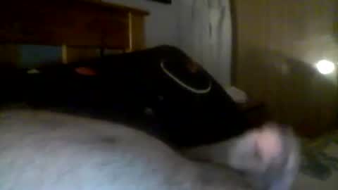 jerkmate6666 online show from 12-21-24, 06:19