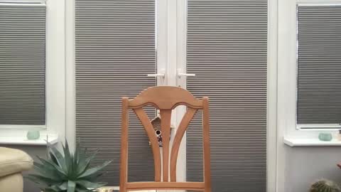 Jigz1986 online show from 02-10-25, 03:53