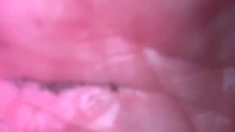 Snapshot of jim2233442211 chatting on 09-19-25, 02:13 jim2233442211 online show from 09-19-25, 02:13