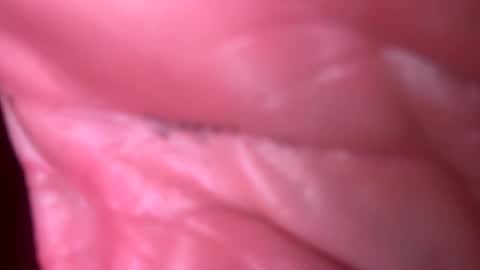 Snapshot of jim2233442211 chatting on 11-04-25, 06:12 jim2233442211 online show from 11-04-25, 06:12