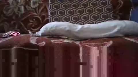 Snapshot of jimmyshelby12 chatting on 01-25-25, 06:34 jimmyshelby12 online show from 01-25-25, 06:34