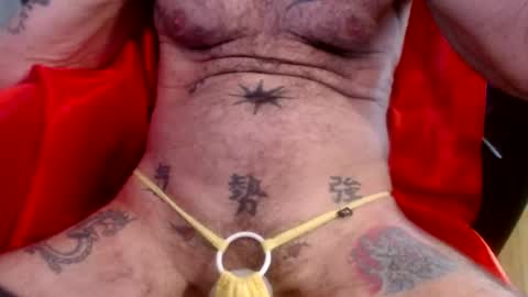 cock model  bathing suit model online show from 07-29-26, 09:46