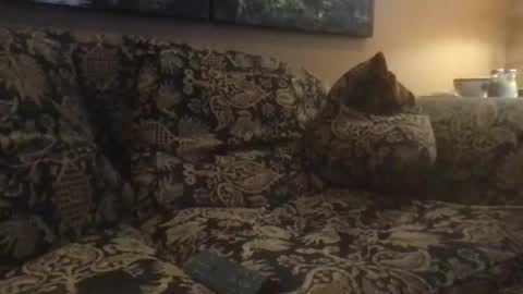 jlk7777 online show from 02-25-25, 05:04