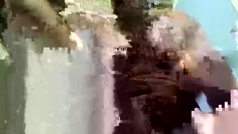 jm612316756558 online show from 04-14-26, 02:06