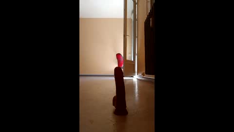 jobi88 online show from 04-05-26, 11:51