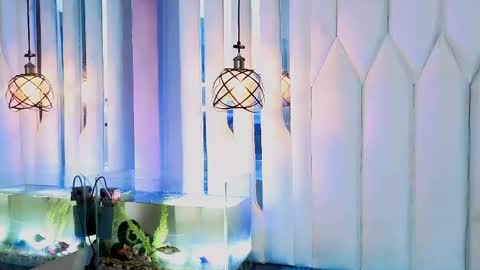 joe jhonson online show from 04-27-26, 11:41