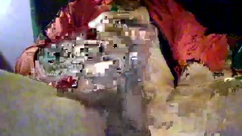 joe_says_hi online show from 11-16-25, 08:58