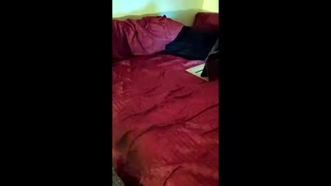 Snapshot of joeborrowman7 chatting on 03-01-26, 08:38 joeborrowman7 online show from 03-01-26, 08:38