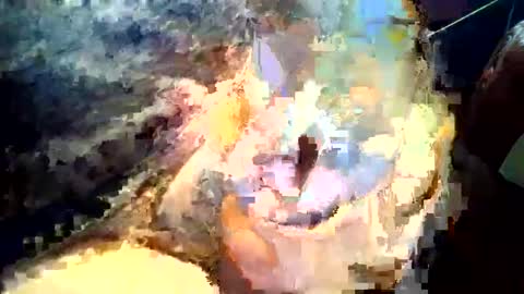 Snapshot of joedunbar61 chatting on 09-17-25, 12:12 joedunbar61 online show from 09-17-25, 12:12