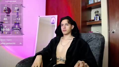 Snapshot of johan_parker222 chatting on 03-06-25, 04:41 johan_parker222 online show from 03-06-25, 04:41