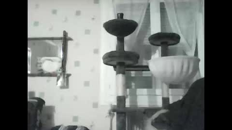 Snapshot of jojo60000529566 chatting on 01-08-25, 07:13 jojo60000529566 online show from 01-08-25, 07:13