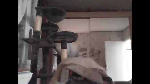 Snapshot of jojo60000529566 chatting on 03-04-25, 03:15 jojo60000529566 online show from 03-04-25, 03:15