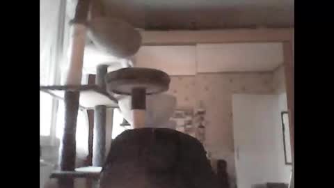 Snapshot of jojo60000529566 chatting on 09-29-25, 05:07 jojo60000529566 online show from 09-29-25, 05:07