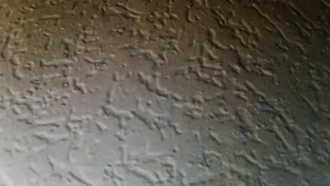 jojo811301 online show from 01-09-26, 06:49