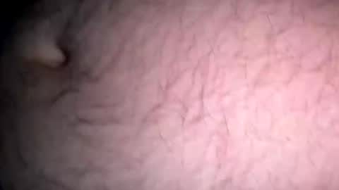 jokapirate43 online show from 11-14-25, 10:36