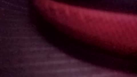 jonathanrossmyers858 online show from 03-13-26, 08:10