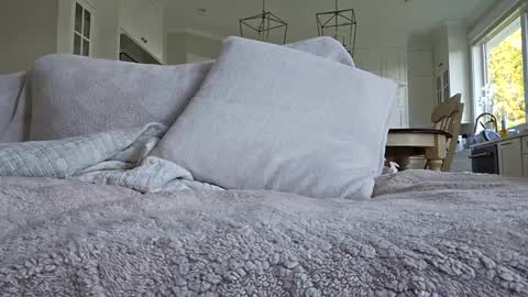 Snapshot of jonesy420xoo chatting on 10-08-25, 11:24 jonesy420xoo online show from 10-08-25, 11:24