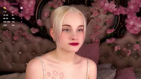 Alice online show from 03-17-26, 11:13