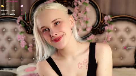 Alice online show from 04-26-26, 11:08