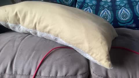 Snapshot of joshperrygoon chatting on 12-19-24, 07:29 joshperrygoon online show from 12-19-24, 07:29