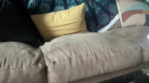 Snapshot of joshperrygoon chatting on 12-21-24, 03:42 joshperrygoon online show from 12-21-24, 03:42