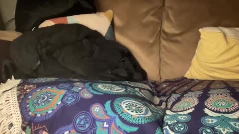 Snapshot of joshperrygoon chatting on 12-27-24, 01:00 joshperrygoon online show from 12-27-24, 01:00